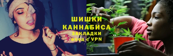 трава Арсеньев