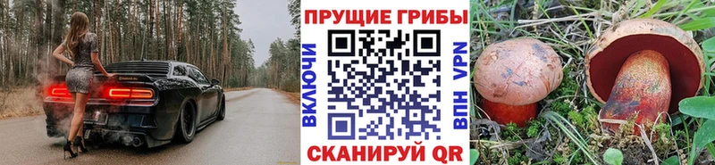 Галлюциногенные грибы Cubensis  Мглин 